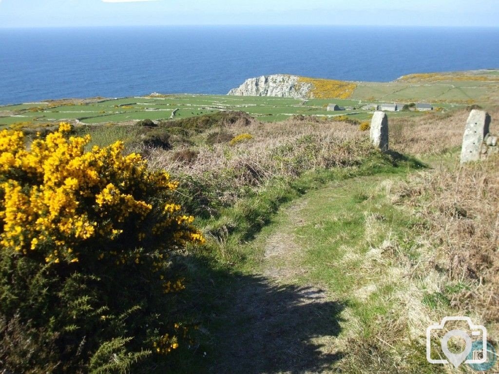 View to Porthmeor Head from Watchcroft - 12th April, 2011