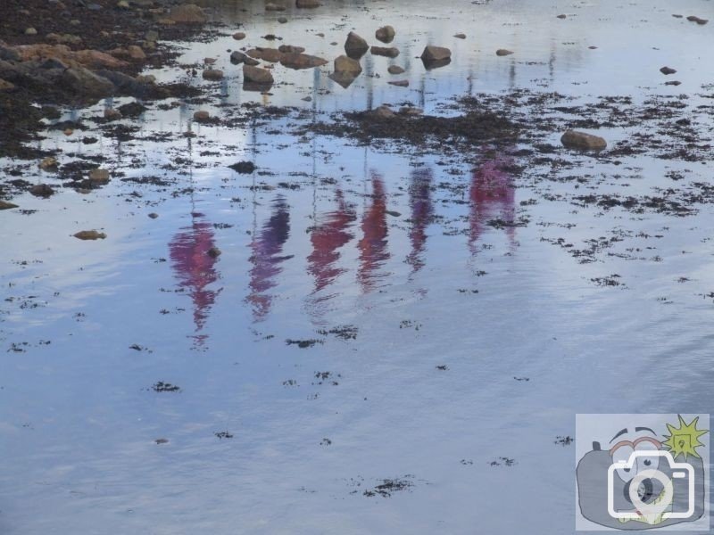 water flags