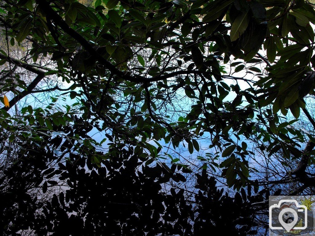 Winter water
